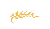 The Society of Certified Senior Advisors